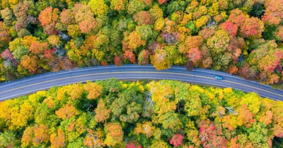 embracing change and fleet customer service