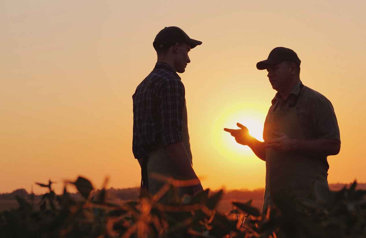 two farmers talking in a field at sunset