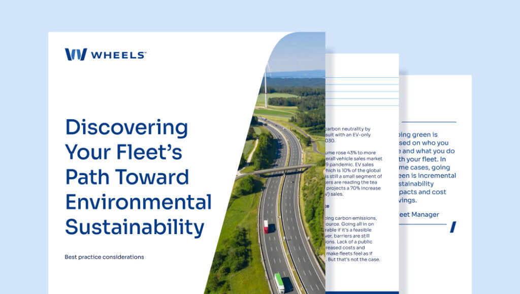 first three pages of the white paper Discovering your fleets path towards environmental stability