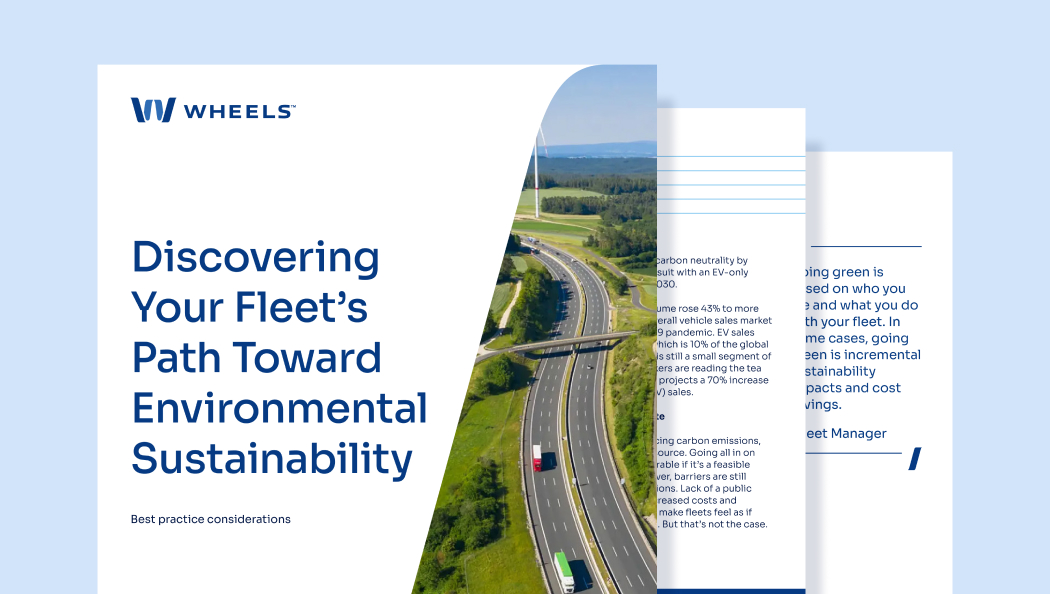 White Paper – Discovering Your Fleets Path Toward Environmental Stability first three pages of the white paper Discovering your fleets path towards environmental stability