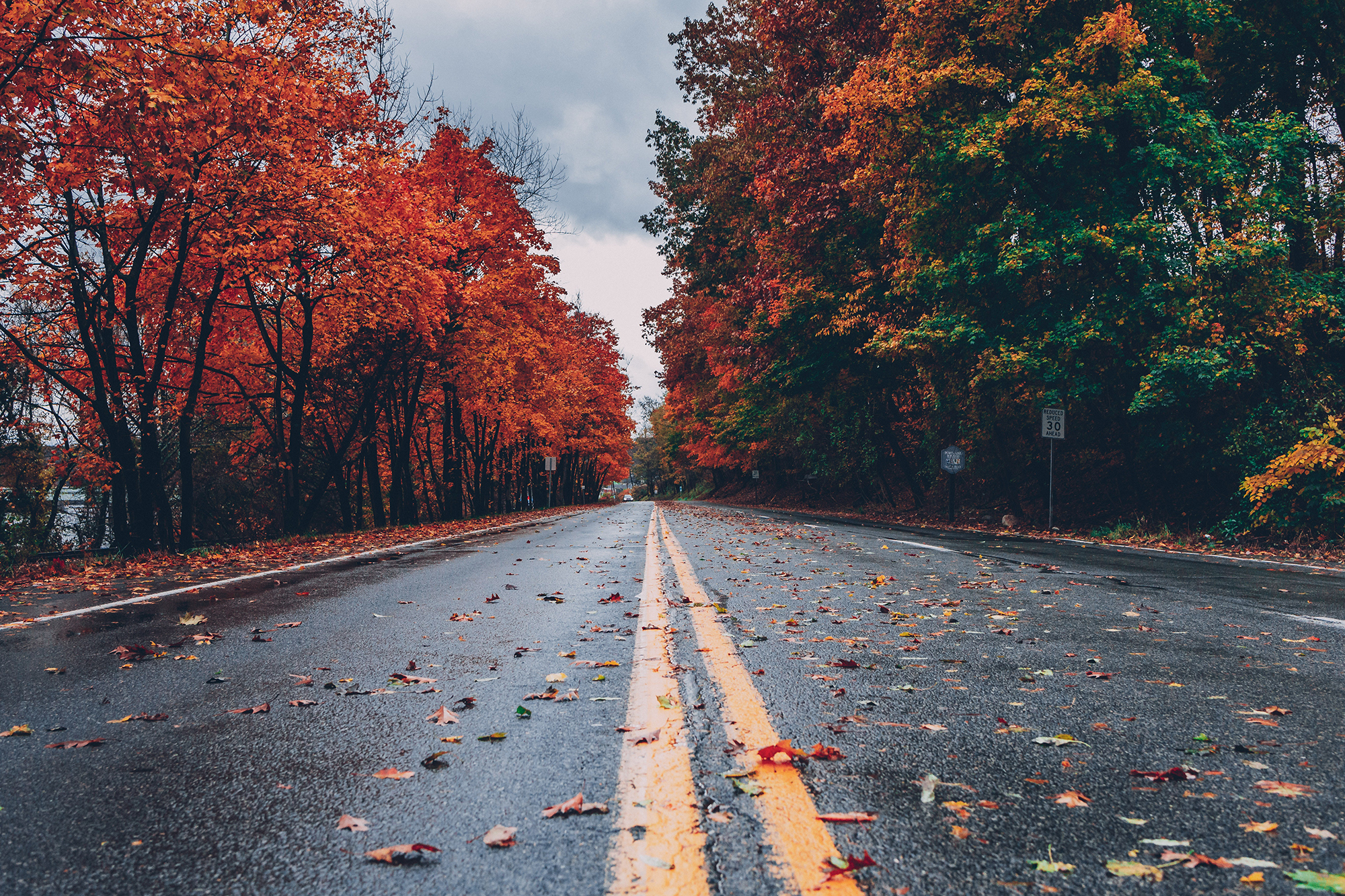 Fall-Road-Safety.jpeg