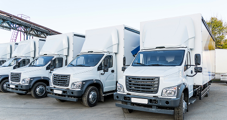 a row of white commercial trucks