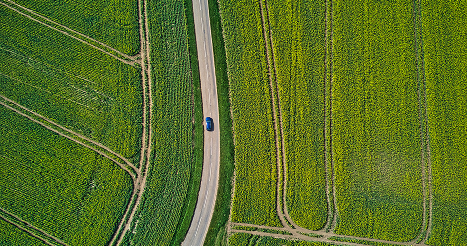 car driving down road in the middle of green fields