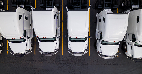 row of white semi trucks