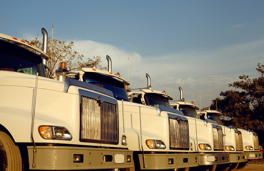 white semi trucks lined up