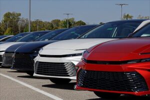 Our Dealer Program